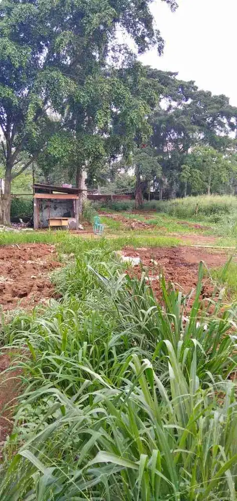 Dijual Tanah Luas Strategis di Pamulang Tangerang Selatan Banten