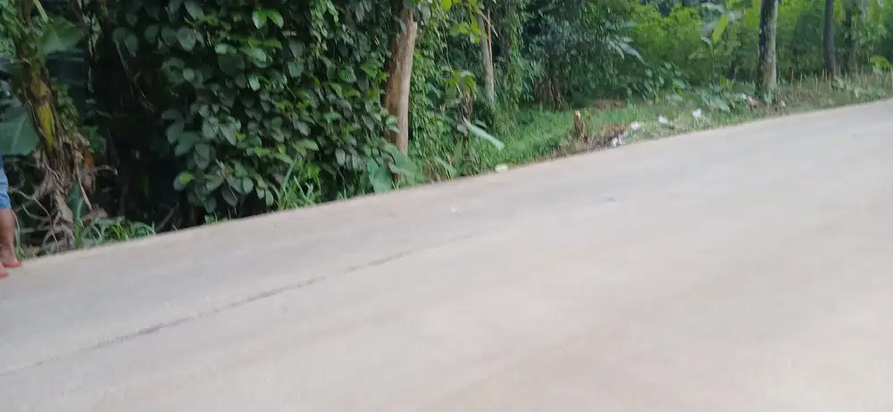 TANAH CANTIK PINGGIR JALAN UTAMA BUAT USAHA GNSINDUR