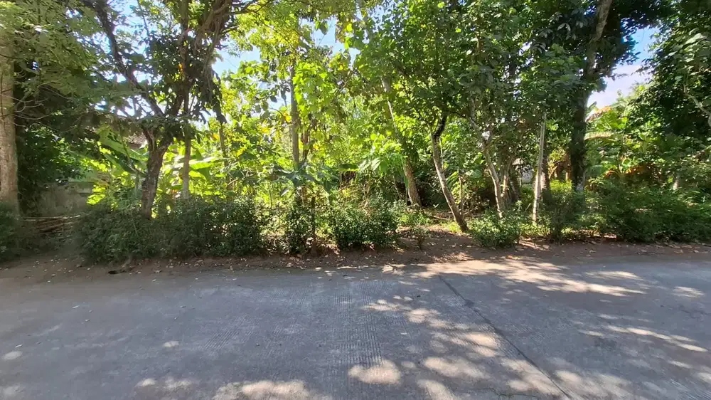 Tanah Pekarangan Luas Lokasi Berada di Daerah Bambang Lipuro Bantul