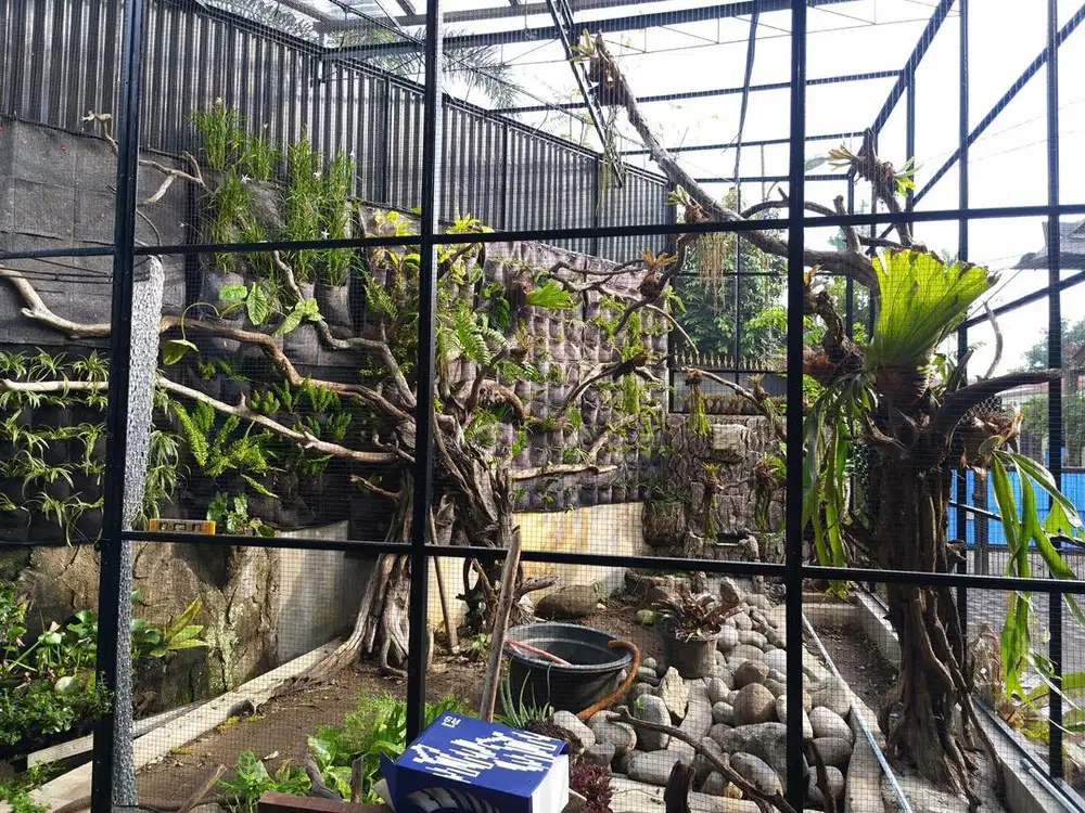 Aviary / aviary mini