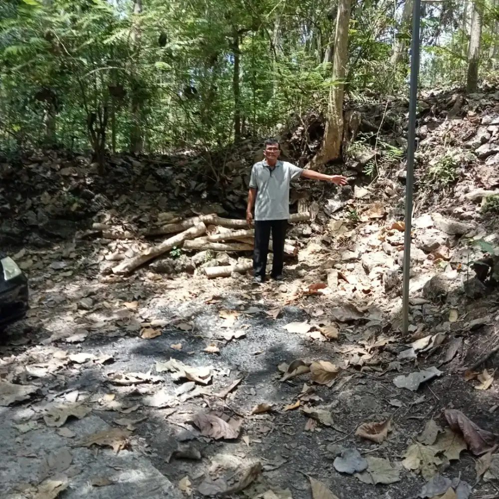 Jual tanah di Lendah Kulonprogo