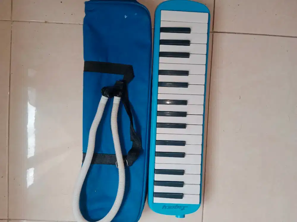 DIJUAL DUA BUAH PIANIKA