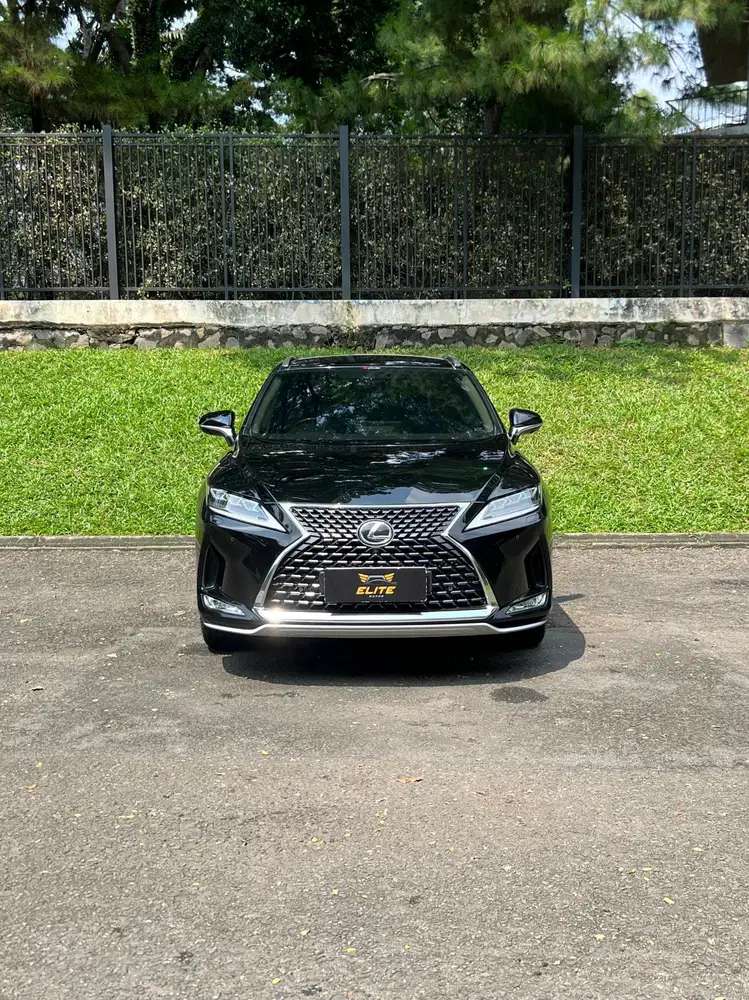 Lexus RX 300 Luxury 2019