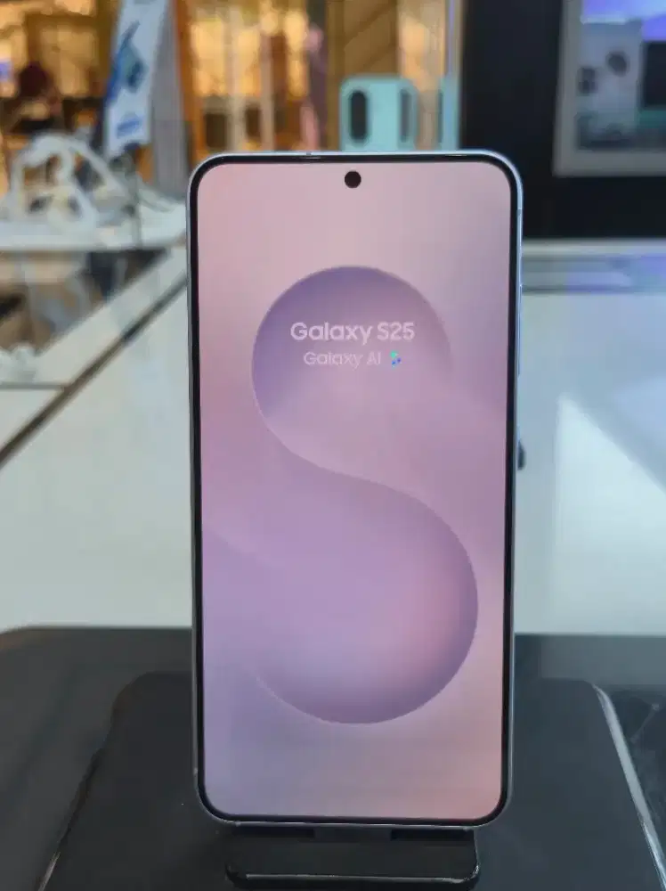 Samsung Galaxy S25