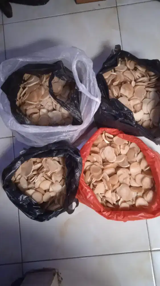 DIJUAL Kerupuk Putih Rempesan. Bisa Kirim Sekota Palembang/COD dirumah