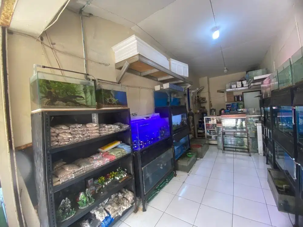 Borong perlengkapan kios aquarium