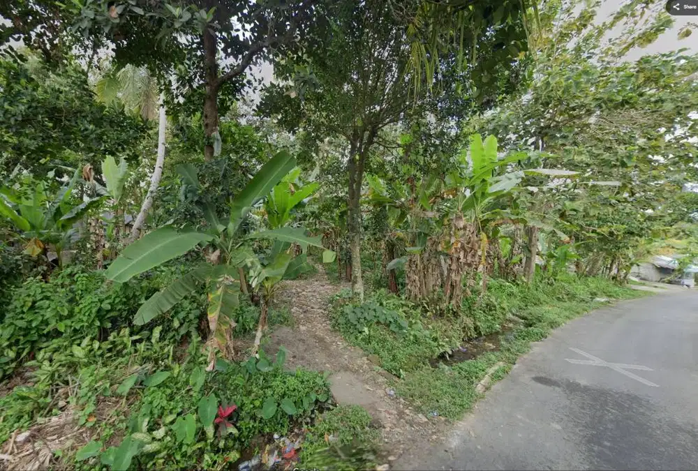 Dijual Tanah Tegal lalang, Ubud Bali