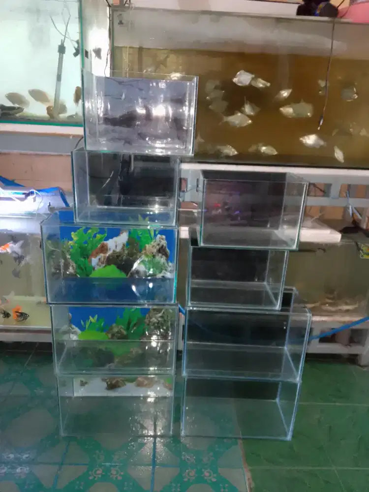 Aquarium ukuran 30x20x20 baru