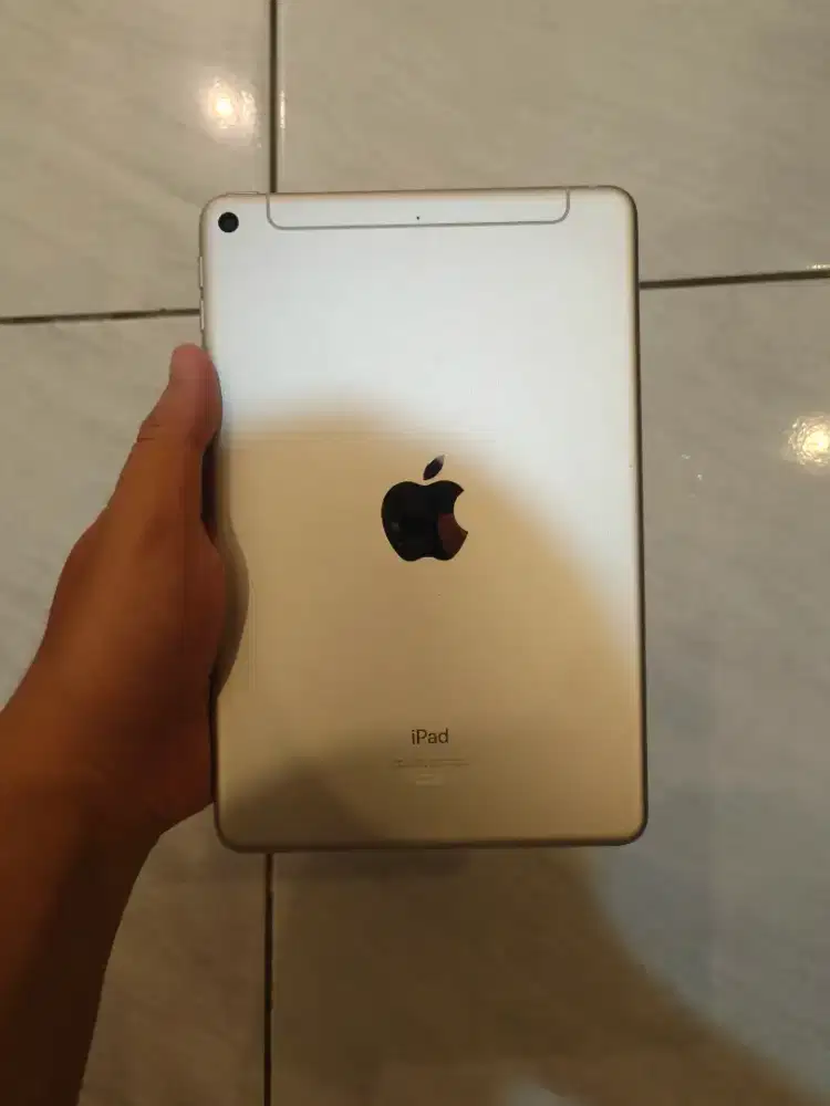 Ipad Mini 5 iBox Seluler 256gb