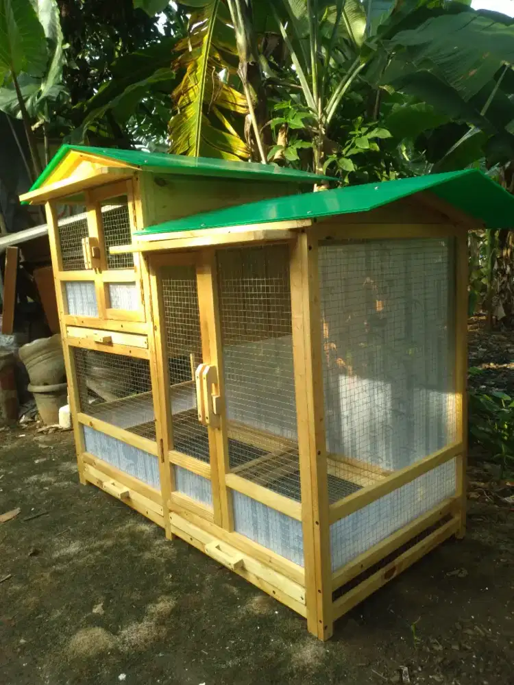 Kandang Ayam Kucing Kelinci