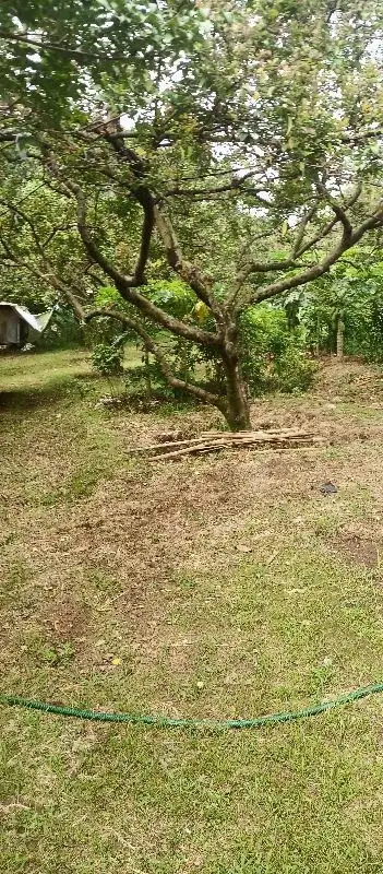 Jual Cepat Tanah Murah Milik Sendiri Bojong Gede Kab. Bogor