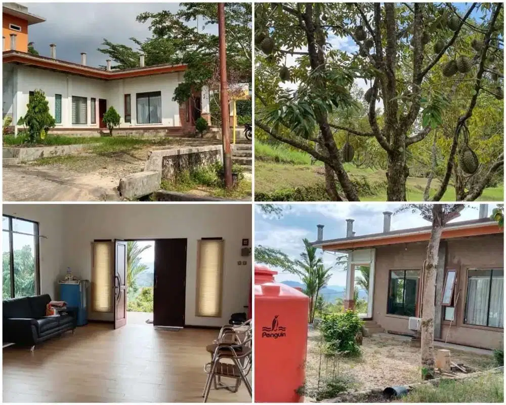 JUAL TANAH KEBUN PREMIUM +VILLA L.Tanah 11.333m² | 2Km Bandara Sibolga