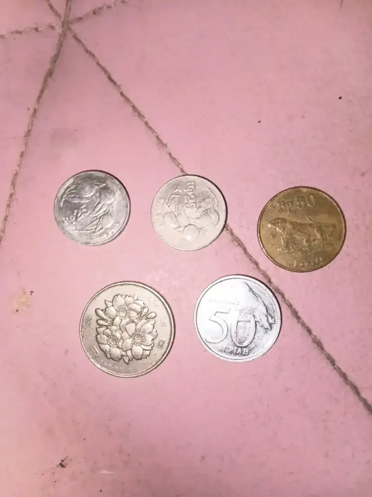 Uang koin yg minat aj