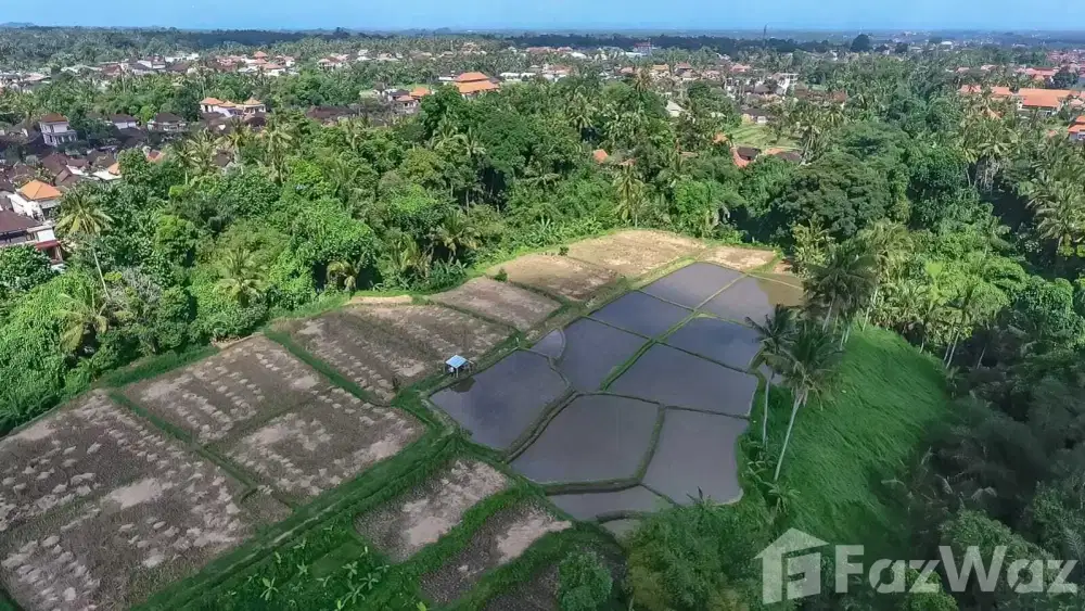 Land for sale in Ubud, Bali