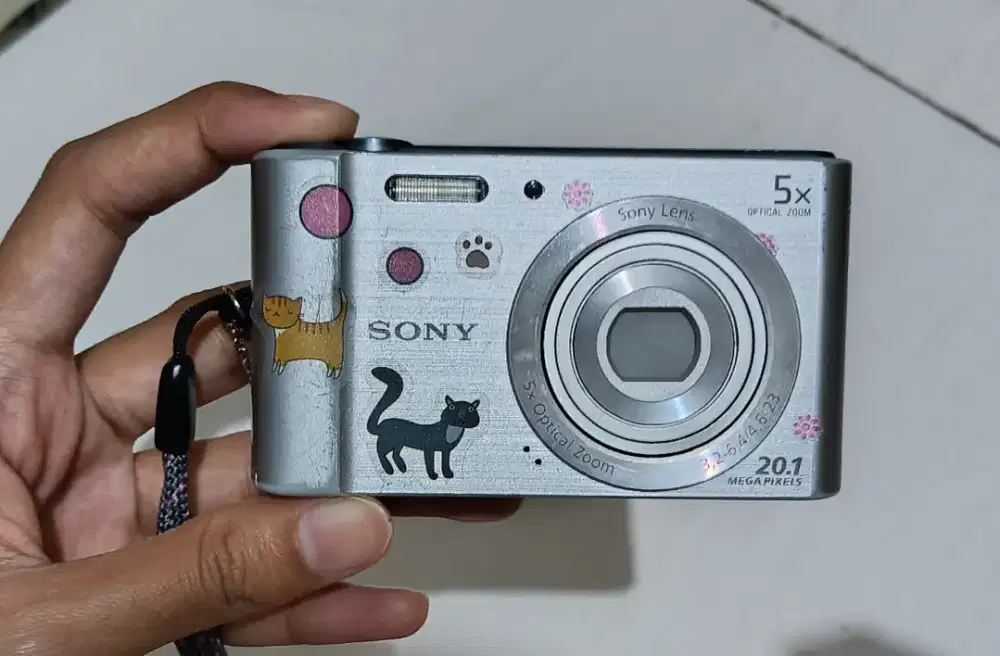 Digicam Sony DSC W800 Digital Camera Silver