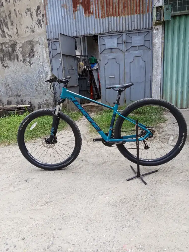 Sepeda MTB pacific Cameroon 6.0 29er