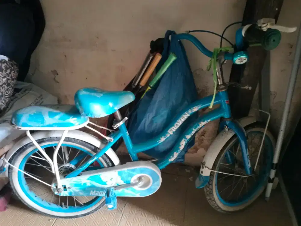 sepeda anak gambar elsa frozen