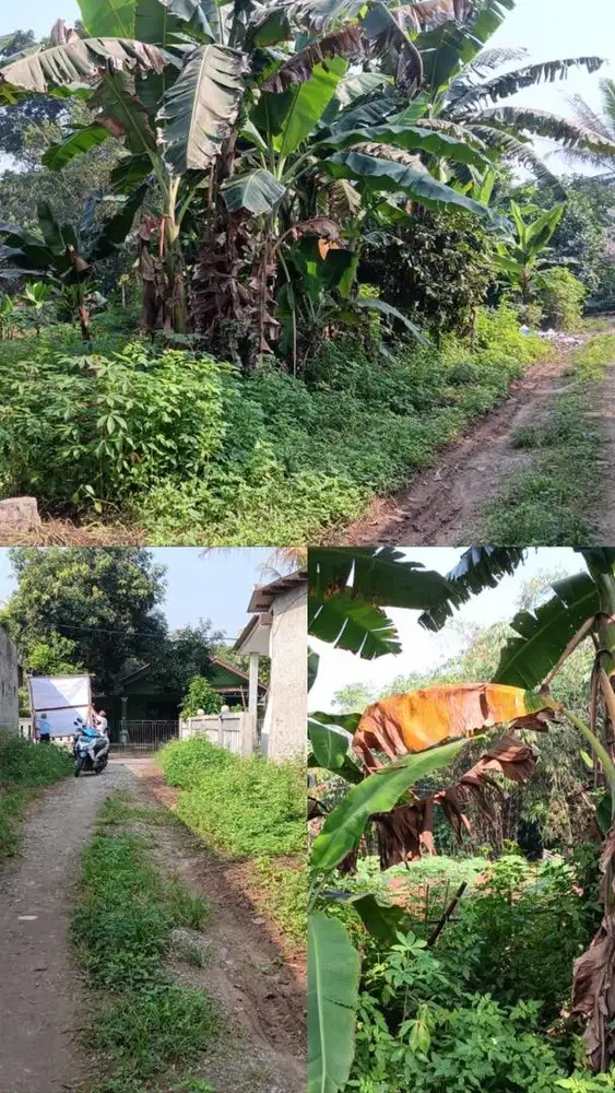 Dijual Tanah di Balaraja