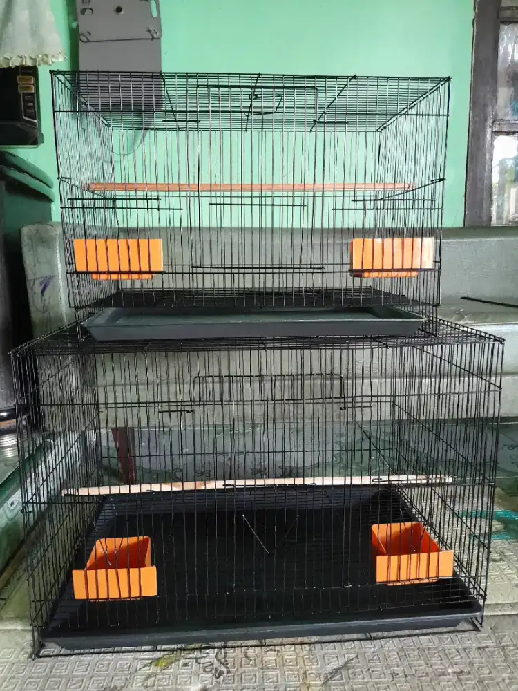 Kandang kotak besi baru