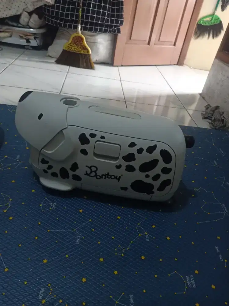 Koper anak bontoy dalmantian beagle goldie jolie