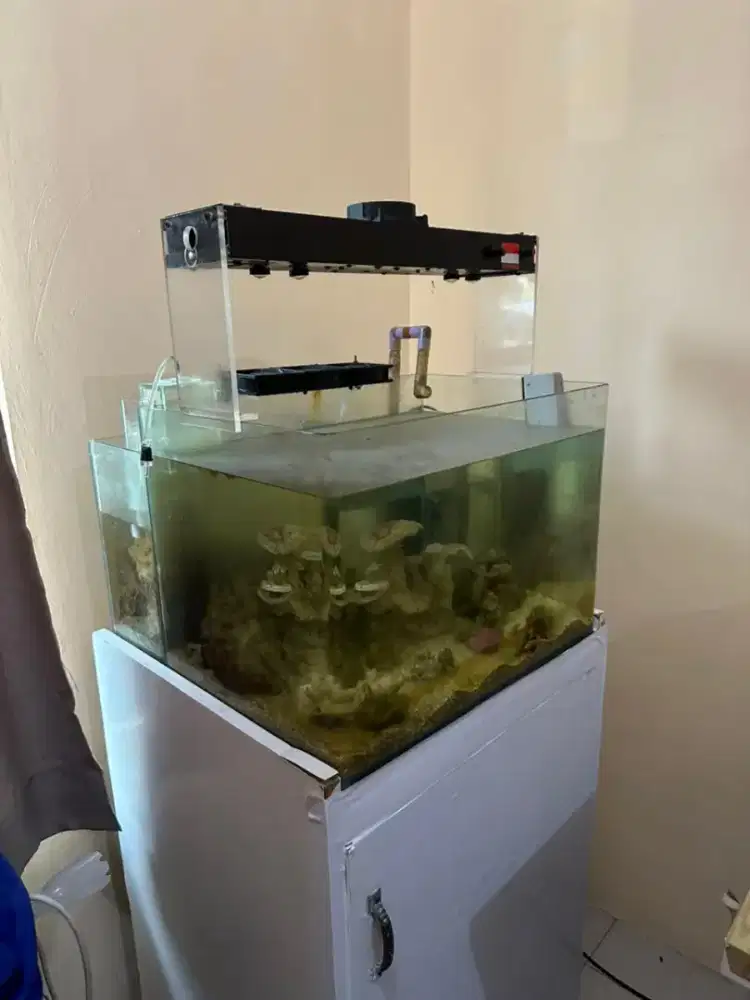 Aquarium air laut fullset BU