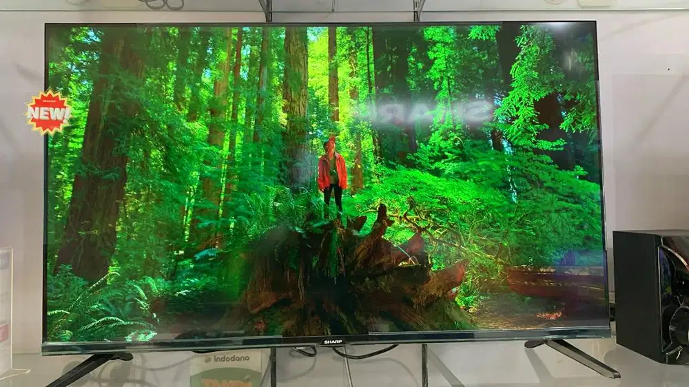 Google TV 43 Inc Full HD Frameless