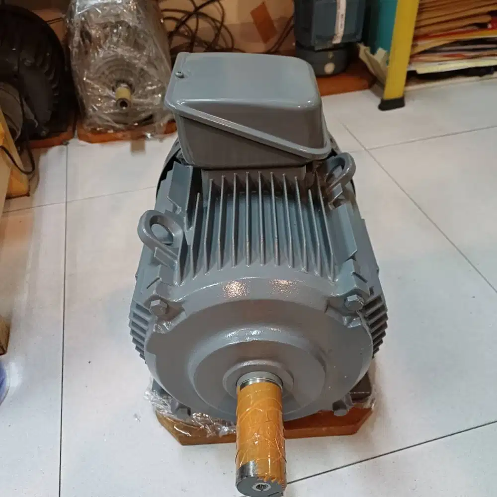 Electric Motor HITACHI