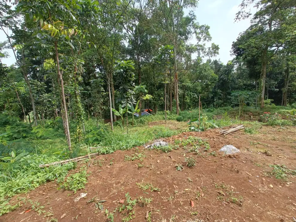 TANAH PACET LUAS 4.H MEPET HUTAN CEMARA