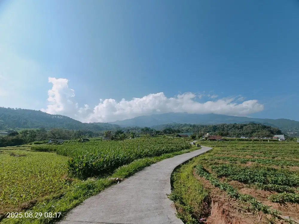 TANAH PACET VIEW CANTIK SEJUK DINGIN
