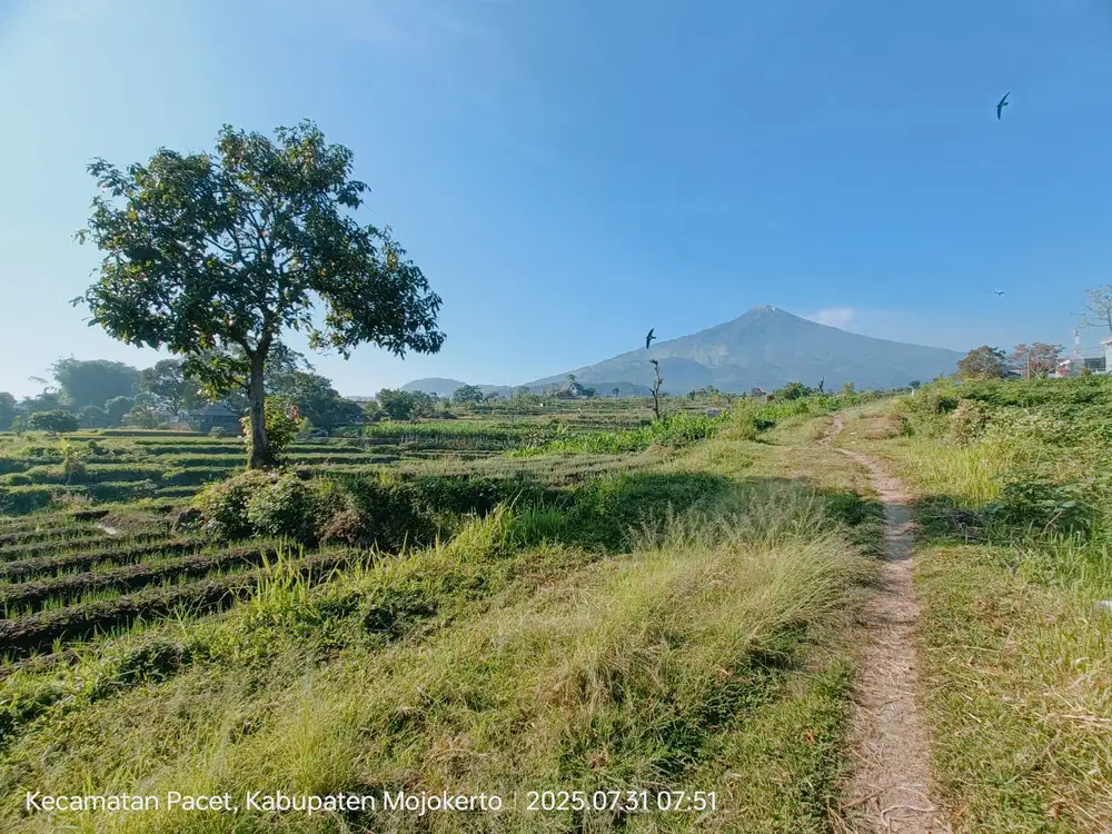 TANAH VILLA PACET SEJUK VIEW OKE HARGA OKE
