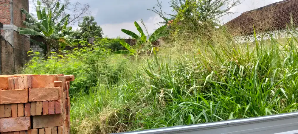 Jual tanah barat UMS dekat menara ONE Pabelan lt 330mtr hrg 4,5jt/m ne