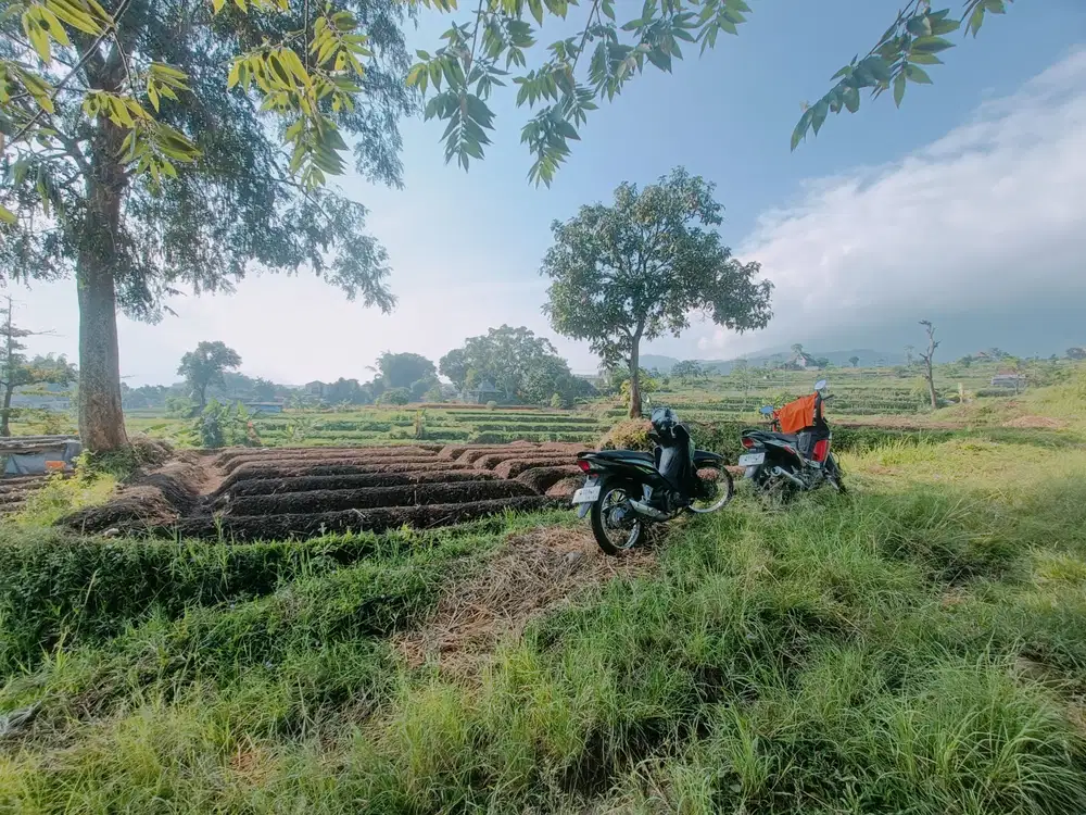 TANAH PACET TANAH VILLA LUAS 1500 VIEW DAPAT SEMUA