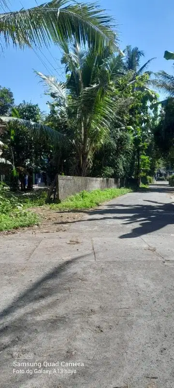 Tanah Murah di utara SMA N 1 Seyegan