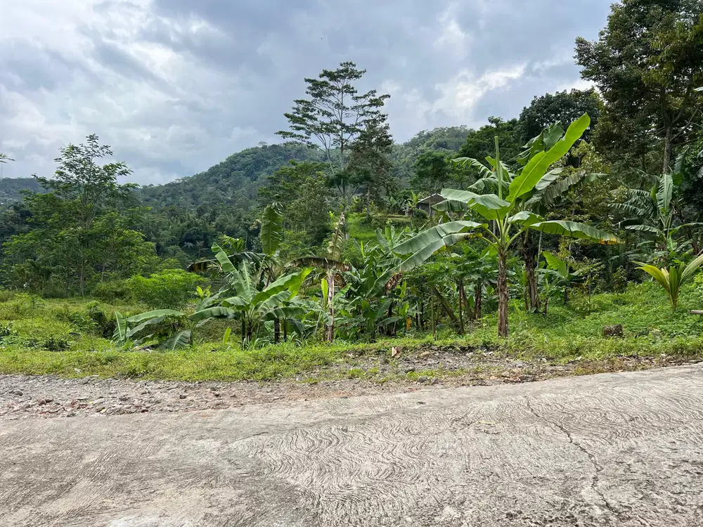 Tanah 300 Juta Udara Dingin Wisata Ngargoyoso Karanganyar