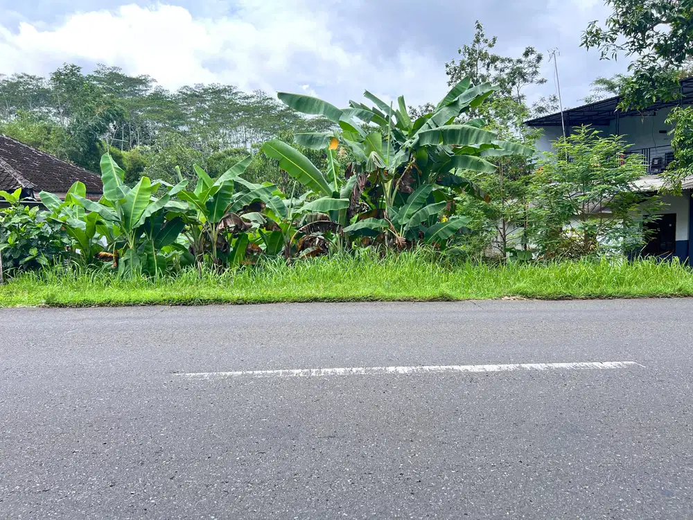 Tanah Kawasan Bisnis Tepi Jl Raya Karangpandan-Mojogedang