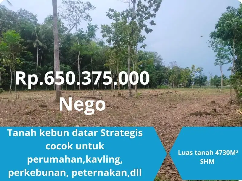 Tanah Datar Siap bangun di Lokasi Strategis daerah Tanjung Bintang