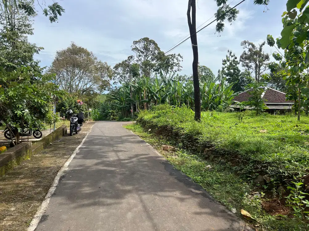 Tanah 200 Juta Udara Dingin Karanganyar