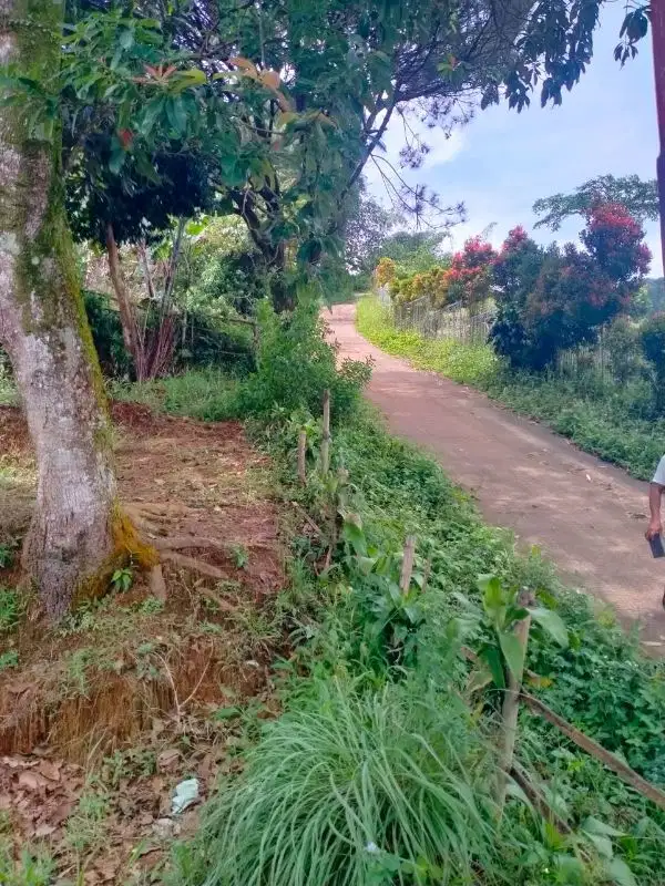 DI jual Cepat Tanah di Cijeruk