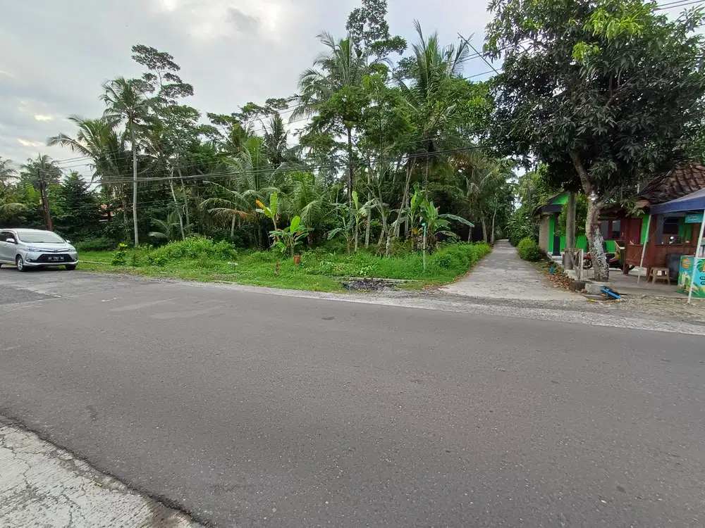 Pekarangan pinggir jalan aspal murah