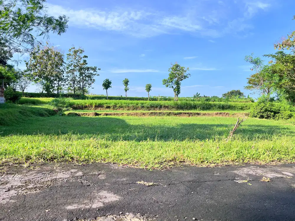 Tanah 250 Juta View Hamparan Sawah Karanganyar