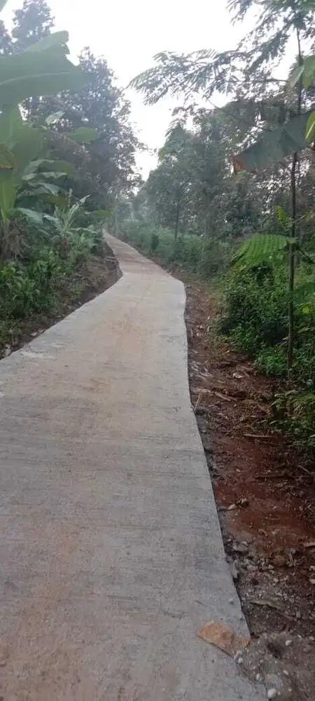 Di Jual Kebun Murah,Akses Mobil