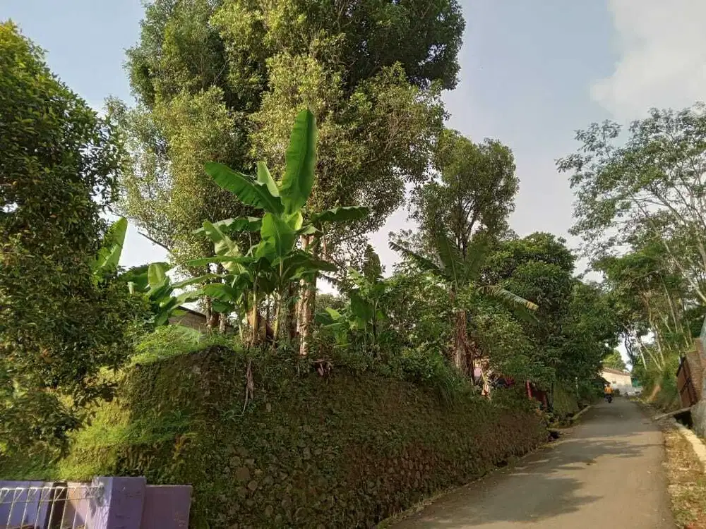 Lahan Kosong Siap Bangun