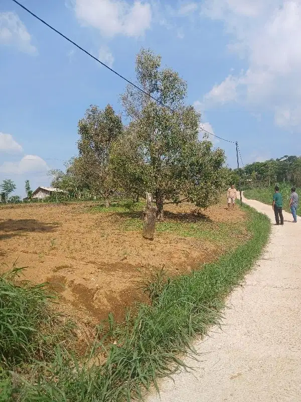 Dijual Tanah di Cibedug Ciawi