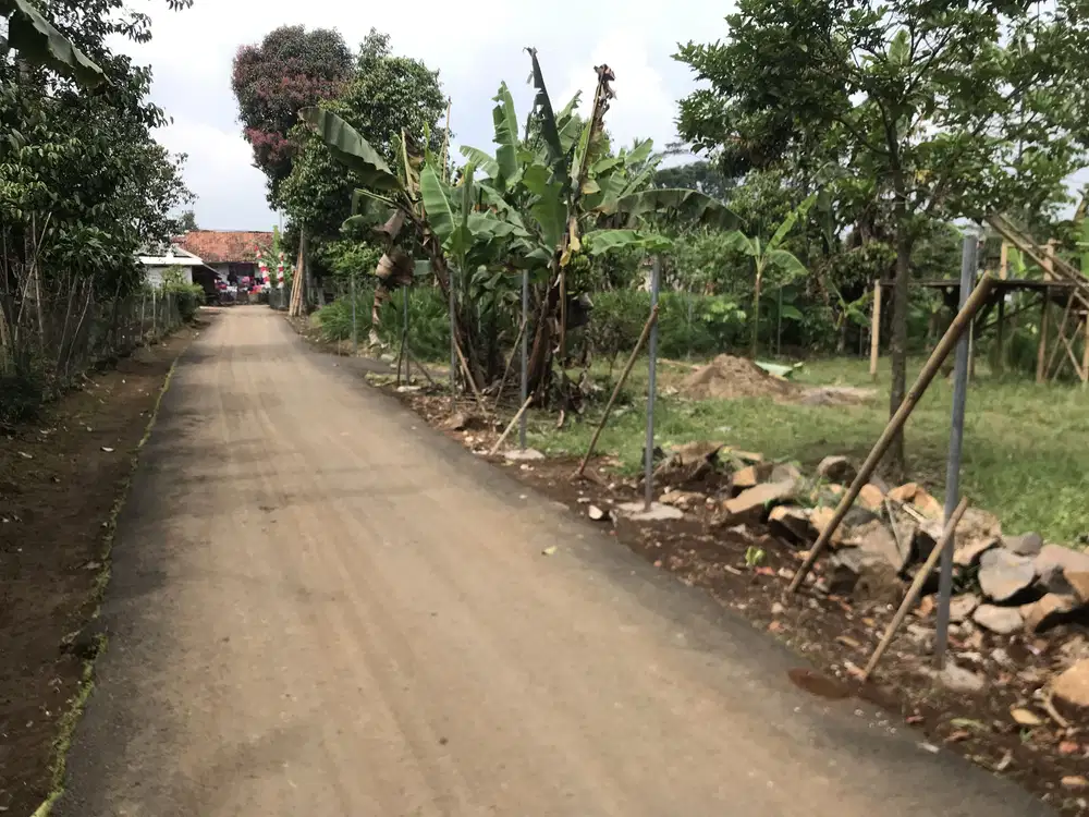 Di Jual Kebun Cocok Untuk Villa