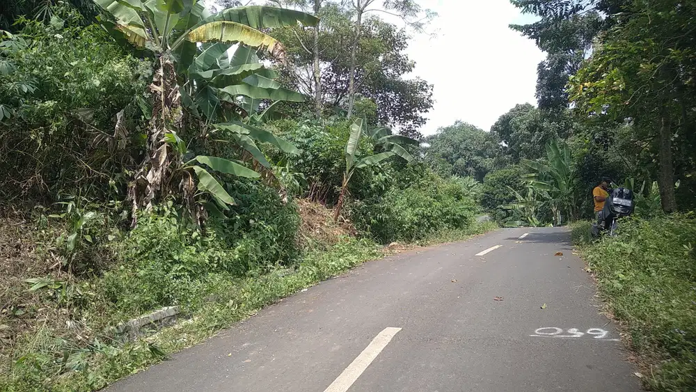 Di Jual Kebun Lt 2255m ,View Bagus