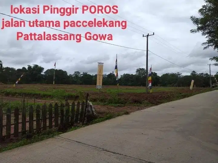 Tanah Murah  Jl poros Jenemadingin -Paccelekang Pattalassang Gowa