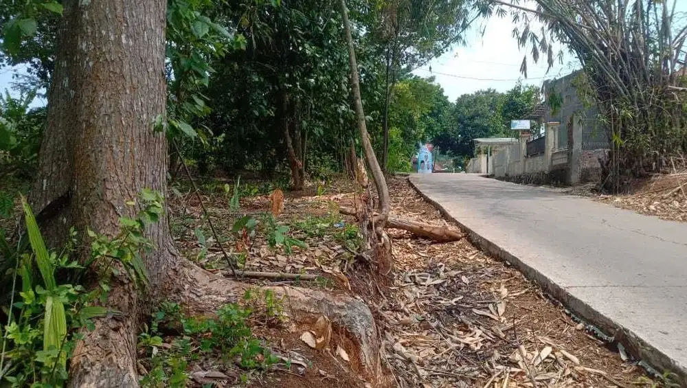 Di Jual Tanah Pinggir Jln,Dekat Jln Provinsi