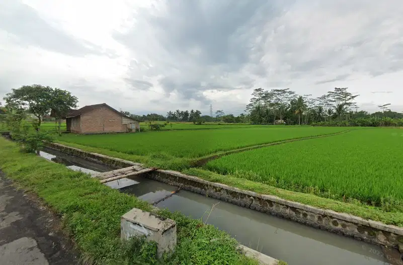 Dijual Sawah Tepi Jalan Sindas, Legalitas SHM Cocok Investasi
