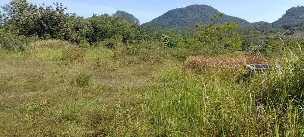 Di Jual Tanah Murah,Cocok Untuk Ternak