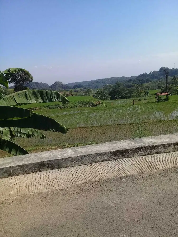 Sawah Produktif ,Akses Jln Mobil